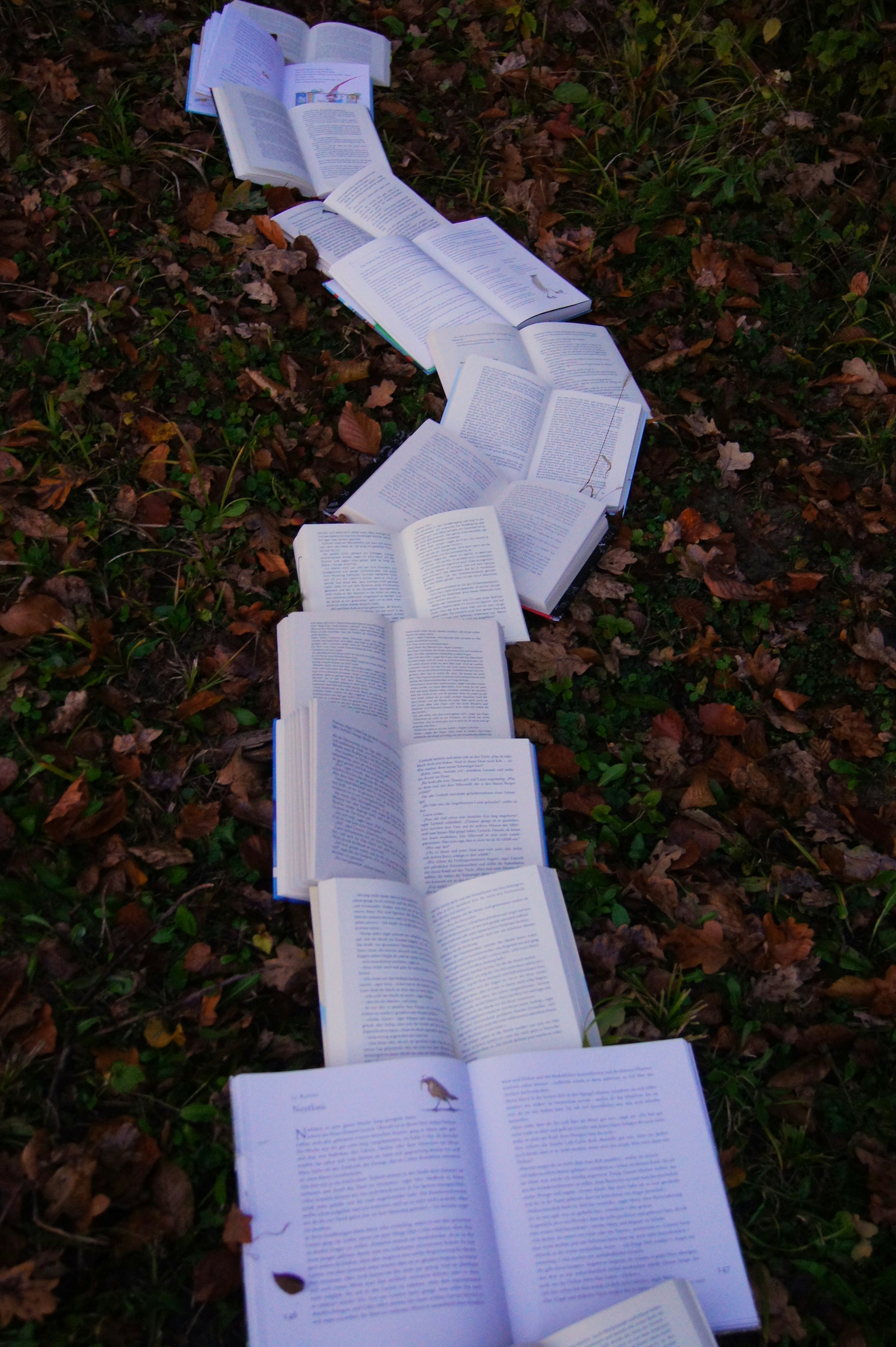 A row of open books lined up on grass with fall leaves.