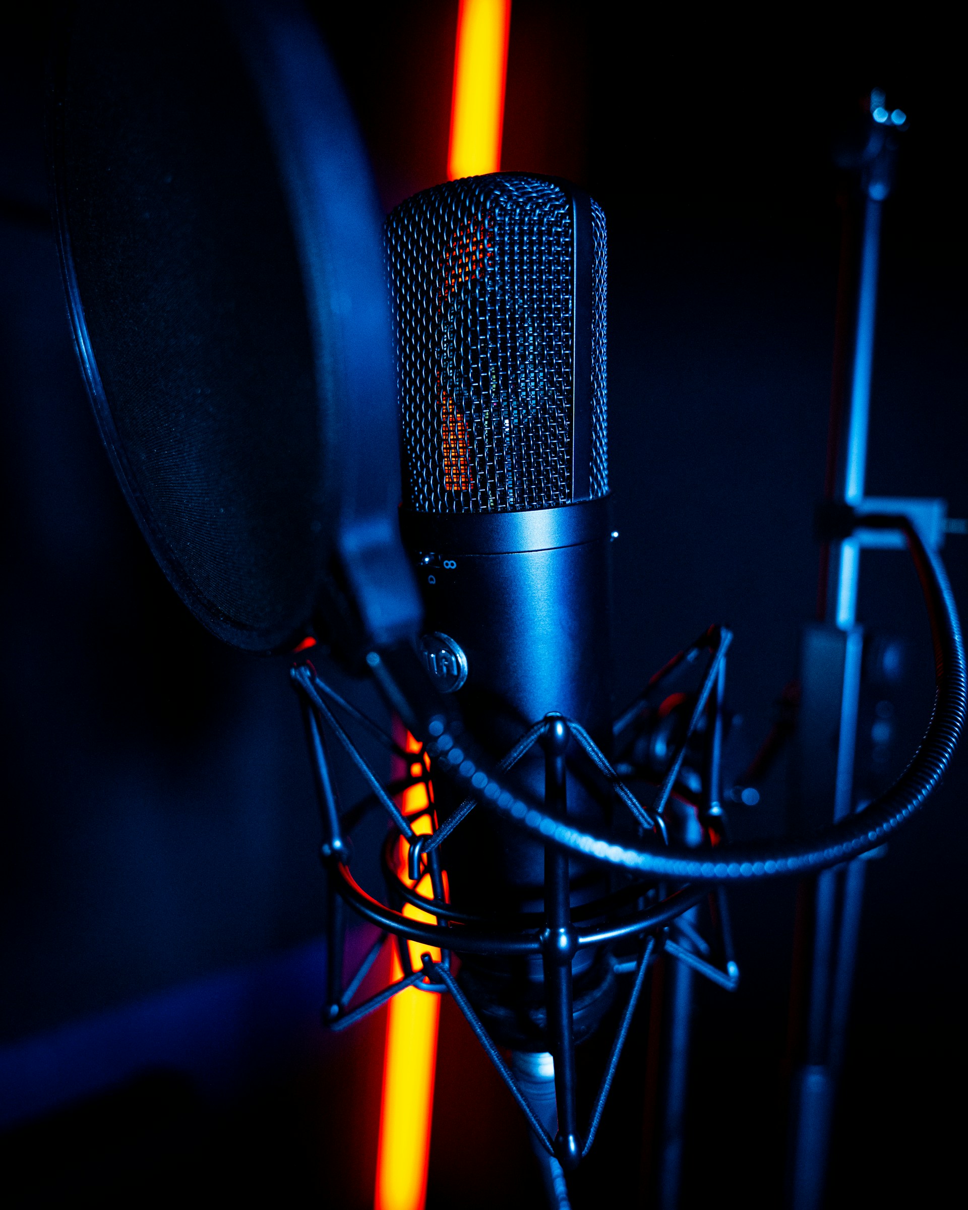 A podcasting microphone with a pop filter.